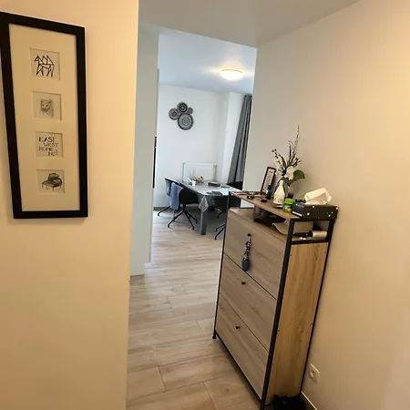 Stylish & Spacious In *